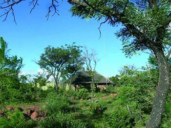 Abloom Bush Lodge & Spa Retreat Кълинан Екстериор снимка
